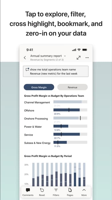 Microsoft Power BI gallery 3