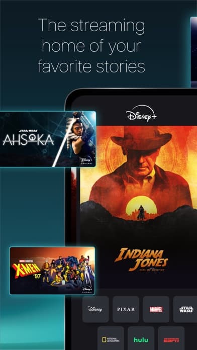 Disney+ gallery 1