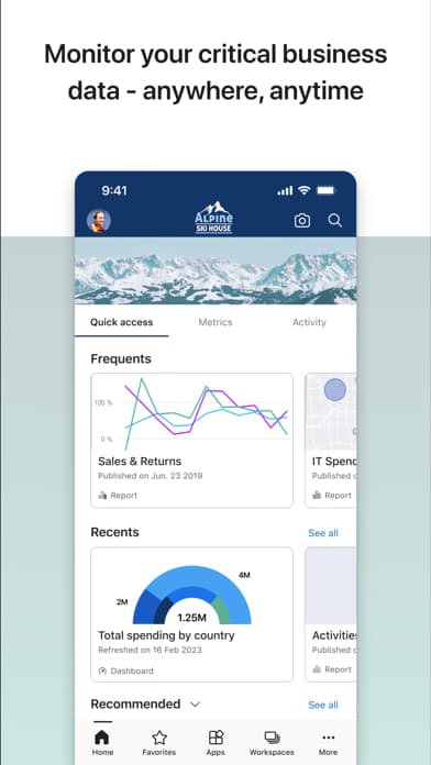 Microsoft Power BI gallery 1