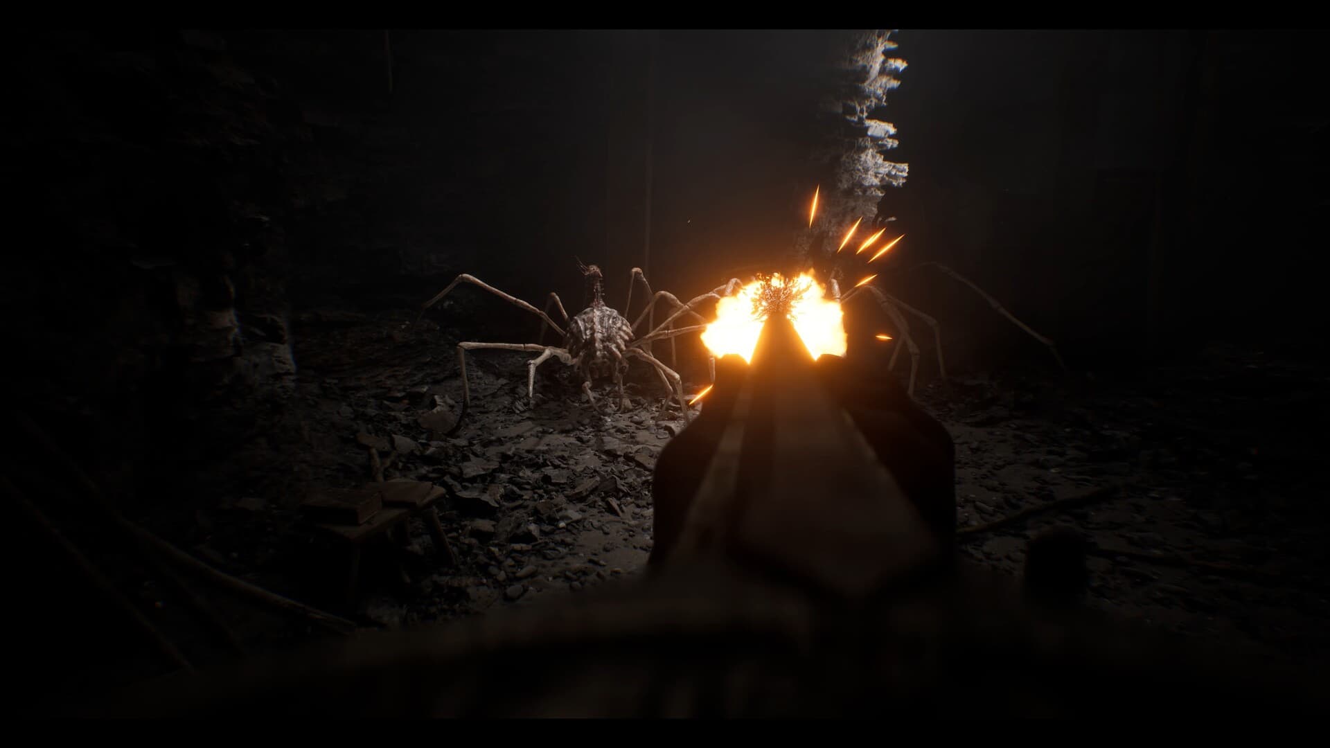 Ritual Tides gallery image 2