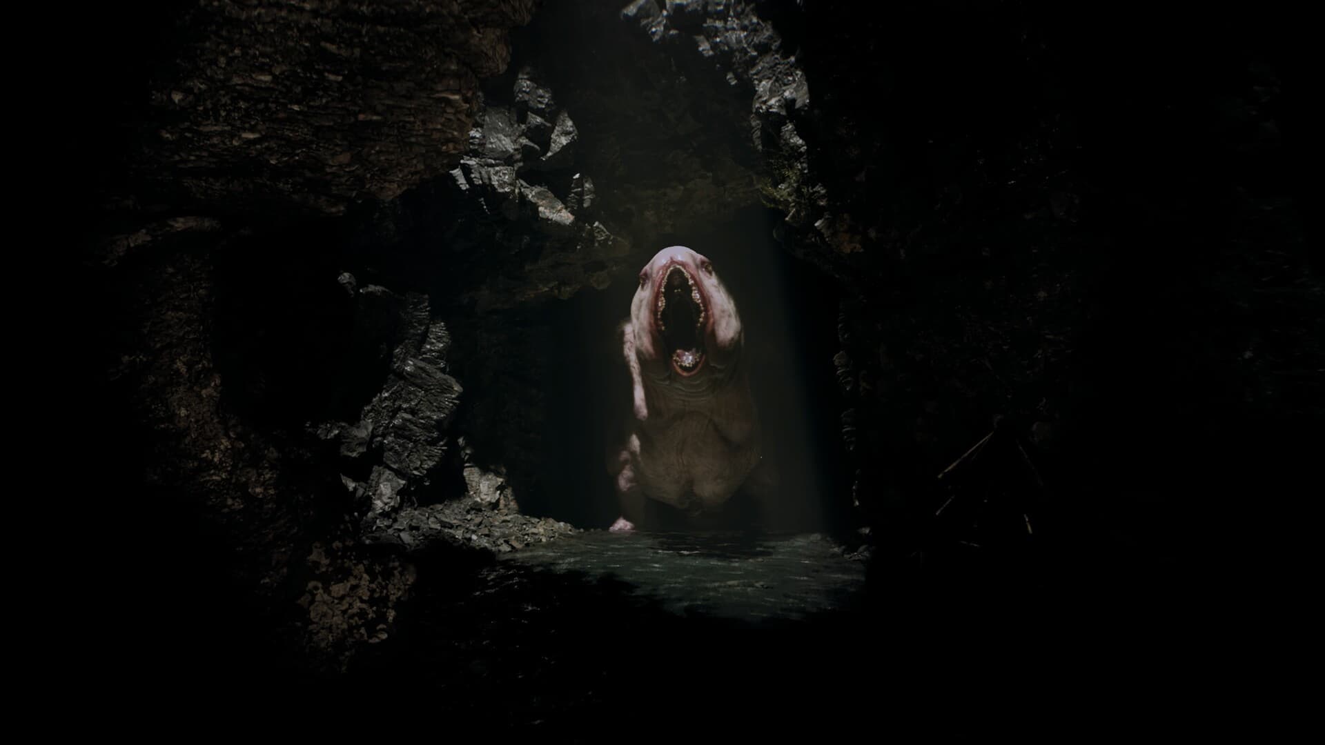 Ritual Tides gallery image 3