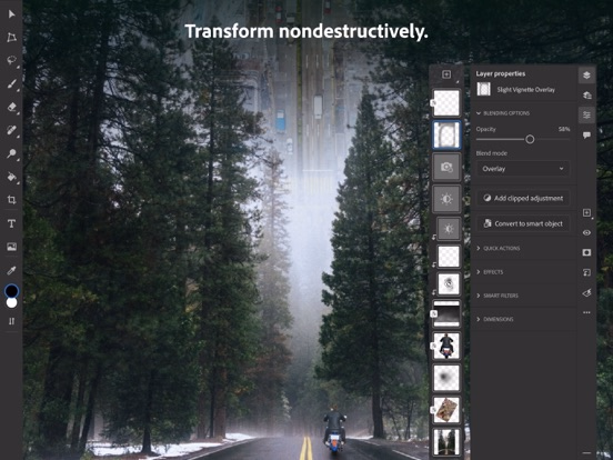 Adobe Photoshop: Photo Editor gallery 3