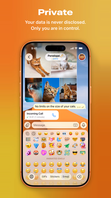 Telegram Messenger gallery 3