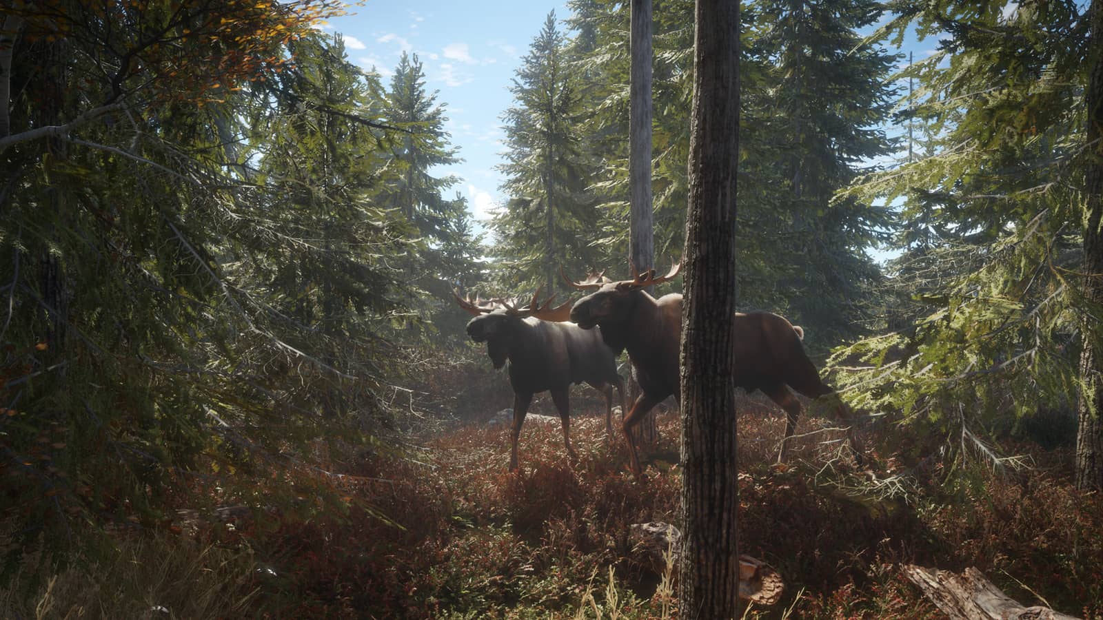 theHunter: Call of the Wild™ hero image