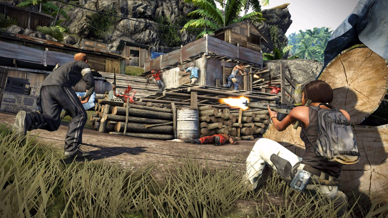 Far Cry 3 gallery image 2